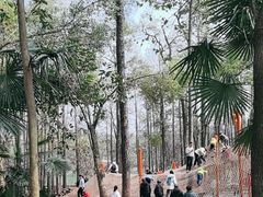 -东湖落雁景区