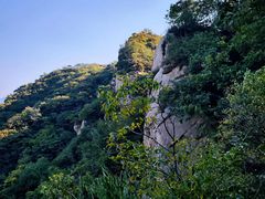 -大岭沟猕猴桃谷风景区