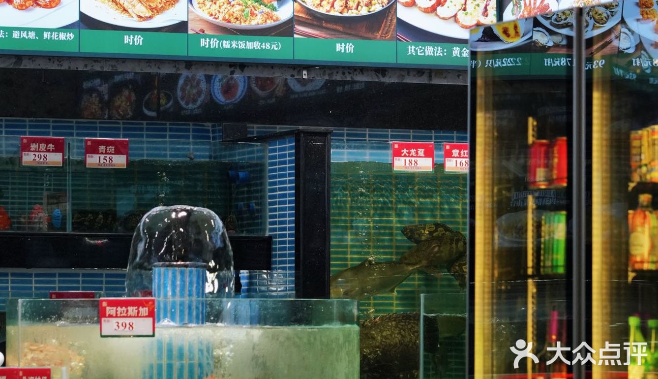 飞尝蚝的新店霸气，出品依然在线‼️