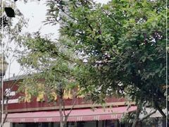 -灯盏窝饭店(新都分店)