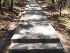 -金龙寺国家森林公园