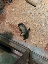 -酷嗒动物文化乐园(cutezoo西溪乐天城店)