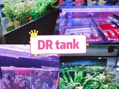 -VFSC极限蹦床主题公园(乐园道彩悦城阳光店)