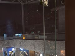 -北京老铺烤鸭(老城根店)