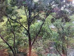 -七彩云南古滇温泉山庄
