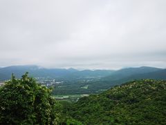 -三亚亚龙湾人间天堂鸟巢度假村