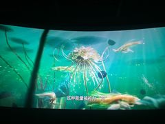 -CGV影城(九亭金地广场SphereX店)