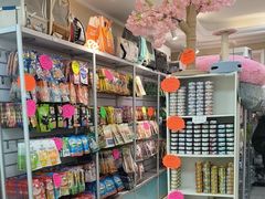 -北京观赏动物医院·24小时大型综合·猫专科·异宠专科