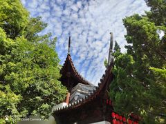 -秋霞圃