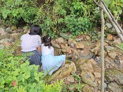 -牛背梁国家森林公园