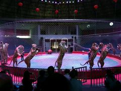 -西安秦岭野生动物园