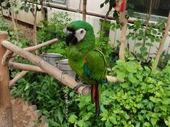 -南宫五洲植物乐园