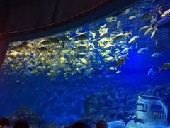 -多彩贵州城极地海洋世界