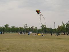 -上海长兴岛郊野公园