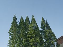 -云间粮仓