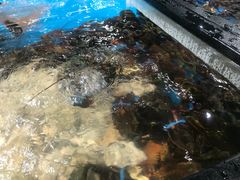 -盒马鲜生(曜一城店)