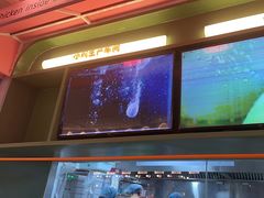 -椰小鸡·琼州糟粕醋·火锅(美兰缤纷城店)