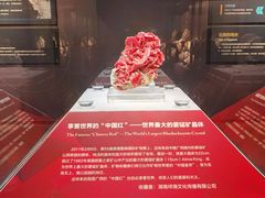 -湖南省地质博物馆