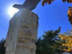-北京鹫峰国家森林公园