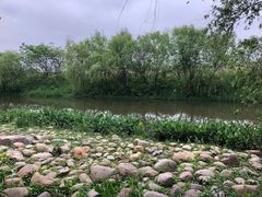 -新江湾城公园