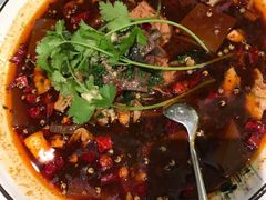 特色毛血旺-蝶园·装修中(BFC外滩金融中心店)