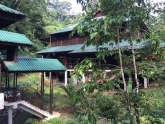 -乌鲁淡布隆国家公园