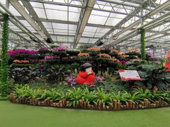 -兰陵国家农业公园