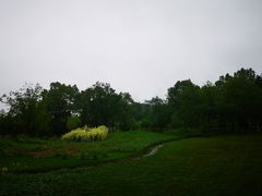 -黄陂区野村谷景区