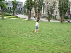 -重庆市江北嘴中央商务区中央公园