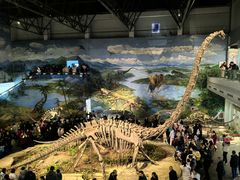 -自贡恐龙博物馆