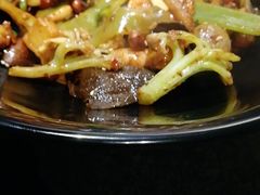 -食乐佳麻辣香锅(森林摩尔商业街区店)