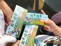 -黄海国家森林公园