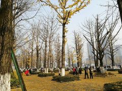 -百林公园-两江幸福广场