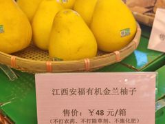 -聚福宝合苑食府(南头镇店)
