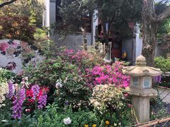 -惠山古镇·寄畅园