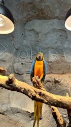 -Zoolung Zoolung动物主题公园(海信广场店)