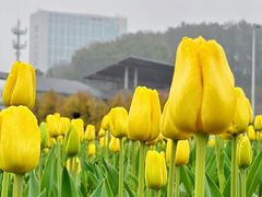 -壹盏灯(惠农店)