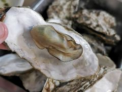 -张记旺角食街(动物园店)