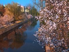 -海棠花溪(元大都城垣遗址公园)