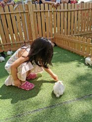 -萌宠亲子动物乐园(槐房万达店)