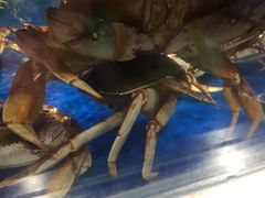 -盒马鲜生(莱蒙都会店)