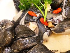 药膳鸡-沙龙酒家