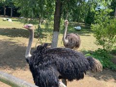 -大连森林动物园