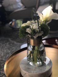 -ZAGA形象设计