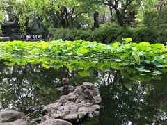 -东吴面馆(因果巷店)