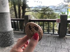 香菇茶叶卤蛋-金盆阿嬷香菇茶叶蛋(玄光店)