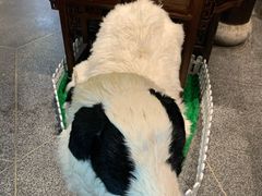 -东门口涮肉·砂锅·烤串(老门东店)
