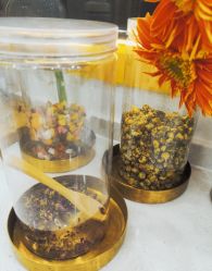 -熊小米专业儿童游泳馆