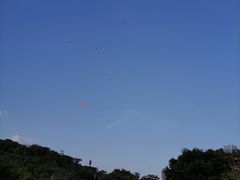 -莲花山公园
