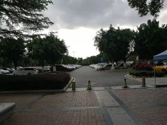 -紫马岭公园